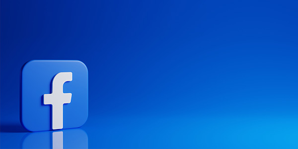 facebook incarnation sacrée